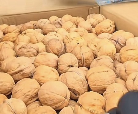 كيلو جوز مع قشره " عرض "