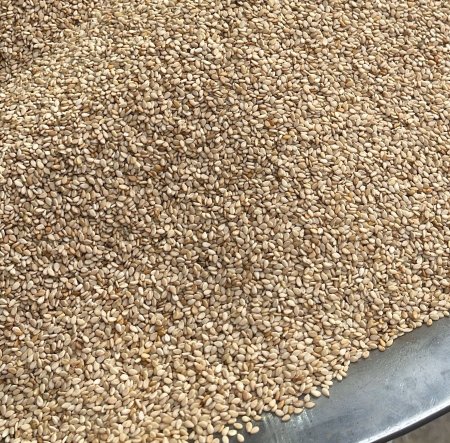 كيلو سمسم محمص