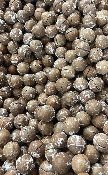 ماكديميا محمصه مملحه