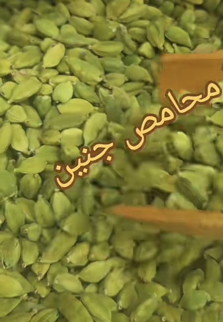 هال جامبو اكسترا