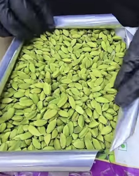 هيل جامبو اكسترا " هال "