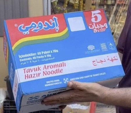 كرتونه اندومي دجاج