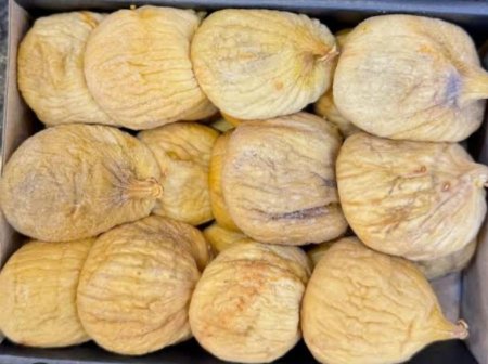 قطين اورجنك نص كيلو