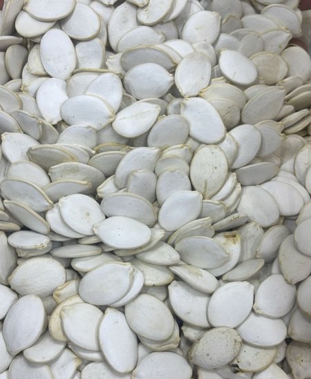 عرض كيلو قرع اكسترا مع قشره ني