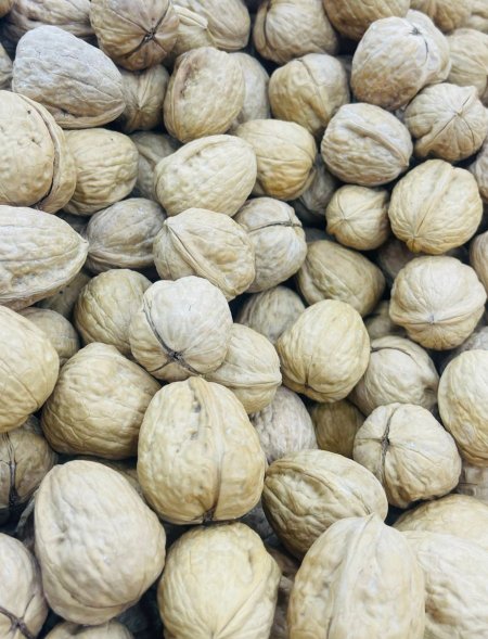 جوز مع قشره